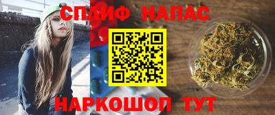 ешки Новодвинск