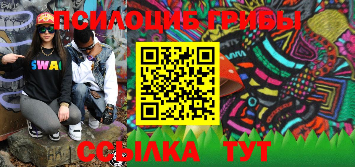 Татарск  Галлюциногенные грибы Magic Shrooms  Псилоцибиновые грибы Psilocybine cubensis  Вход с VPN 